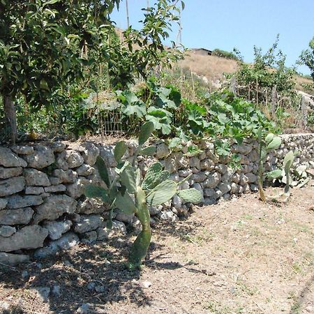 Old Winery House Villa Kolymbari Exterior photo